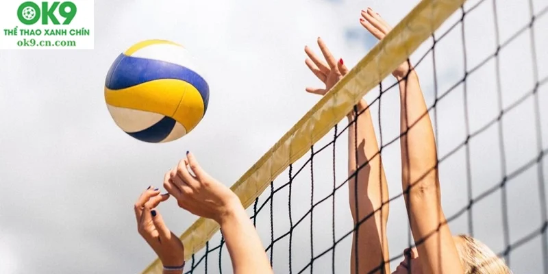 Các loại kèo trong bóng chuyền ok9.ru.com thường gặp