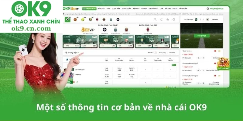 ok9 - Các Yếu Tố Chính Góp Phần Vào Sự Thành Công Bền Vững