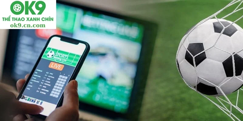 Cách soi kèo cược chẵn lẻ một cách hiệu quả nhất