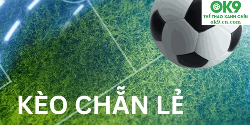 Giải Thích Các Loại Kèo Nhà Cái Dễ Hiểu Nhất