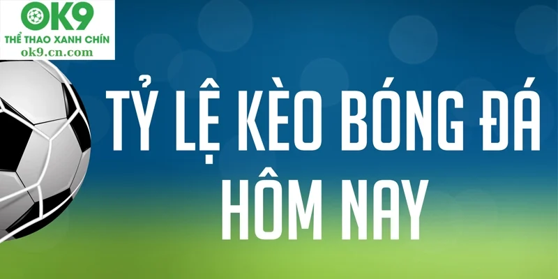 Những tỷ lệ kèo thể thao thú vị nhất đang chờ đón bạn.